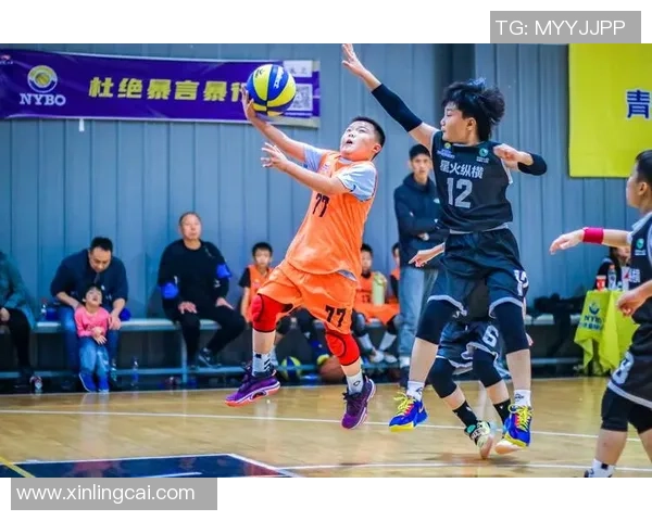 南京篮球队的拼搏之路与杯赛荣耀的背后故事